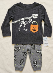 Carter’s 12M 2-Piece Halloween Dinosaur Skeleton Long Sleeve Tee & Pants Grays.