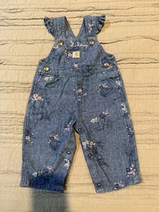 Girl’s CARHARTT Blue Floral Animal Print Chambray Ruffle Overalls Size 9 mos