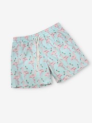 Classic Whimsy Flamingo Swim Trunks 4T