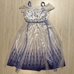 Disney Frozen II Dress Girls 4T Silver Purple Elsa Tulle Satin Costume Play GUC