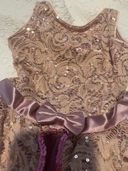 Revolution Sz 2T Princess/Fairy dress With Body Suit. Mid Length Tulle Lace Sequ