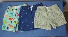 Baby Boy Shorts Lot Dinosaur Tropical Leaves Carter’s 6-9 mo vacation summer