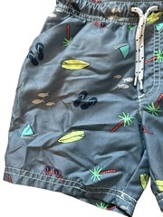 Carter’s Toddler Boys Drawstring Swim Trunks Size 3T, Lot Of 2 Surf Dinosaur