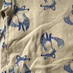 Infant Clothes Carters 4 Piece Set Size 12 Months Animal Blue Beige Pajamas Fox