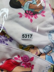 Disney Princess Print Set 2T Teal Blue Flame Resistant