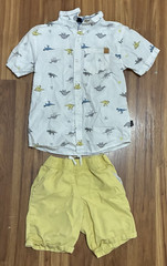 Boys 5T 2pc Dinosaur Animal Print Button-Up Shirt & Yellow Shorts Set