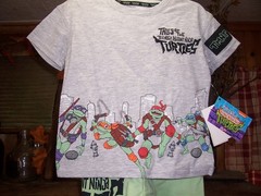 NINJA TURTLES BOYS TODDLER SHIRT AND SHORT SET SIZE 2 T GRAY GREEN SUMMER NEW