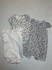 Baby Girl Clothes One Pieces Ruffles And Flowers 6 To 9 Months