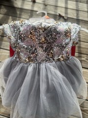 Toddler Girl Fancy Dress 4T Sparkly Sequin Top Gray Tulle Skirt Button Back