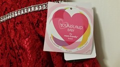 Youngland Baby Girl Red Lace Dress Formal Holiday Machine Wash 18 MO NEW