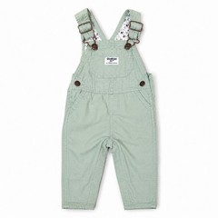 OshKosh B’gosh Floral Lined Canvas Overalls 6M Green Bib Carpenter Adjustable