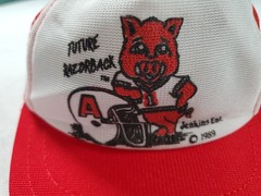 Jenkins1989 Future Razorback Cap For Toddler & Razorback Training T-shirt Sz 2