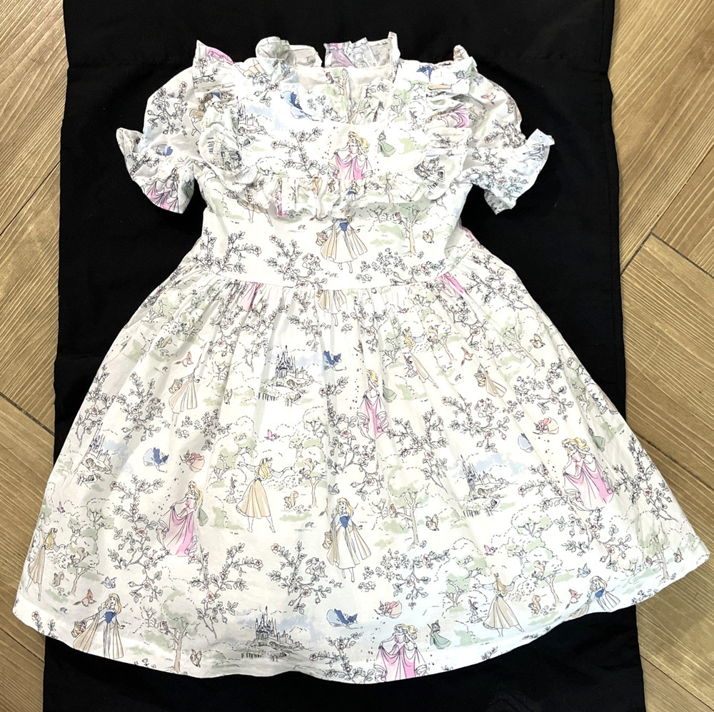 Disney x Janie and Jack Aurora Dress – Size 18/24M
