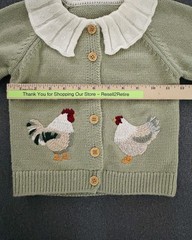 Boutique Toddler Girls Cottagecore Sweater 2T Embroidered Chickens Sage Green