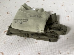 Carter’s Preemie Green Overall And Long sleeved Crewneck Dinosaur Outfit NWOT