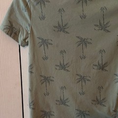 Carter’s Boys M Green Palm Tree Tropical Cotton Crew Neck Short Sleeve T-Shirt