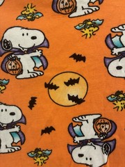 Peanuts Toddler Boy Girl 2-Piece Cute Vampire Snoopy Halloween PJ Set Orange 4T