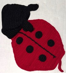 UNBRANDED knit set red/black LADYBUG motif photo prop app 0-3 months