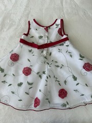 Baby Girl Dress Youngland Perfectly Dressed Size 24 Months Embroidered