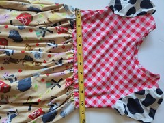 Charlies Proyect Clothing for A Cause Farm Girls Dress Size 5/6